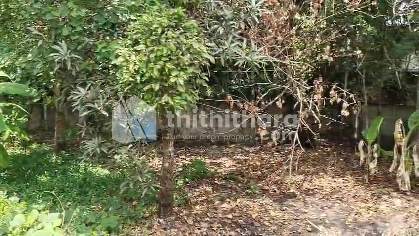 Residential Land Available for Sale in Karunagappally Kollam