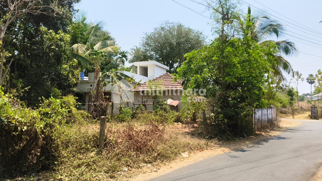 Residential Land available for Sale in Alathur Palakkad