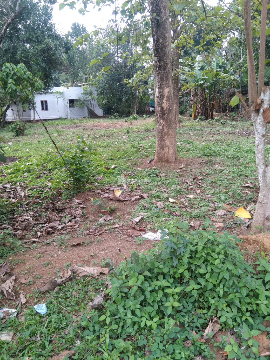 Residential Land available for Sale in Mavelikkara Alappuzha