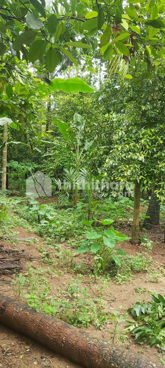 Residential Land Available For Sale in Puthukkad Thrissur