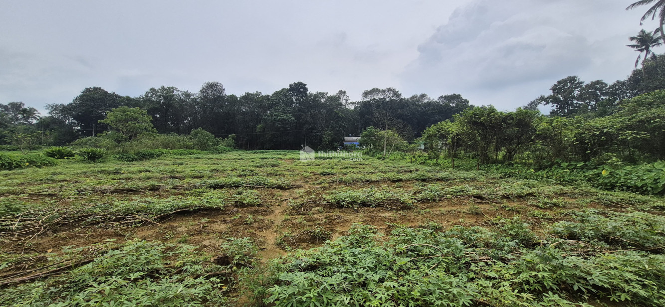 Commercial Plots Available For Sale in Muvattupuzha Ernakulam
