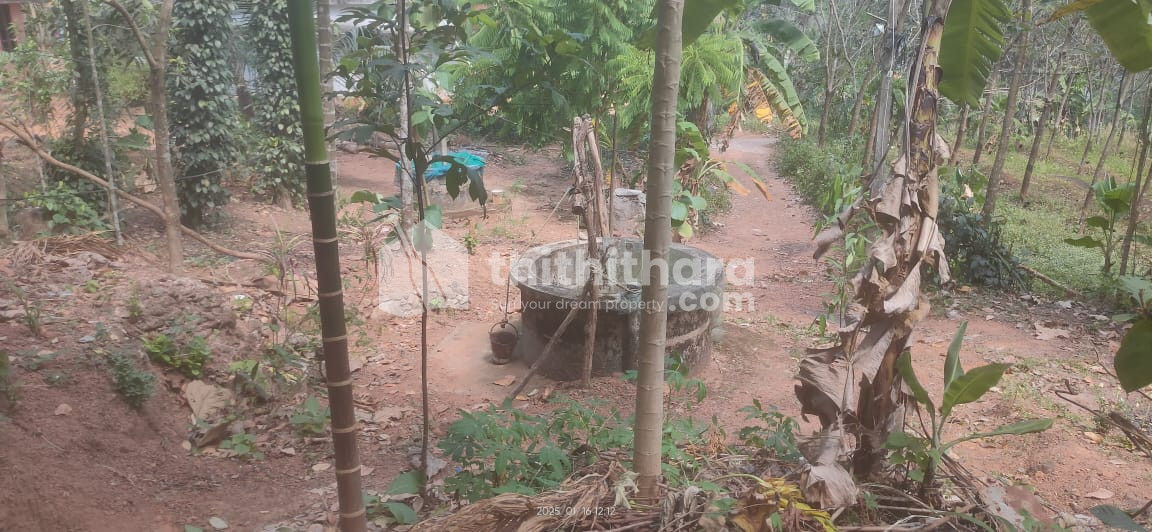 Residential Land available for Sale in Kottarakkara Kollam