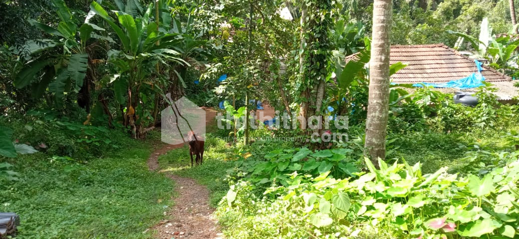Residential Land available for Sale in Perumbavoor Ernakulam