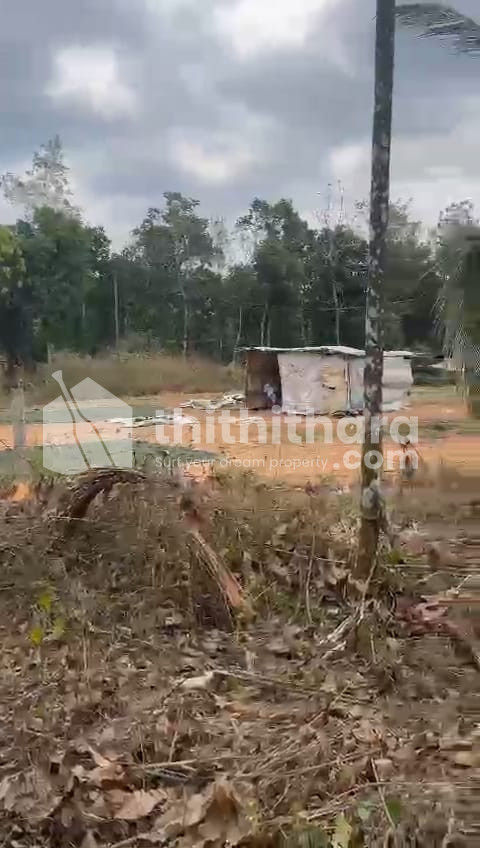 Commercial Plots available for Sale in Mananthavady Wayanad