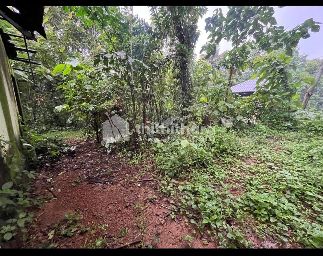 Residential Land available for Sale in Kunnathunad Ernakulam