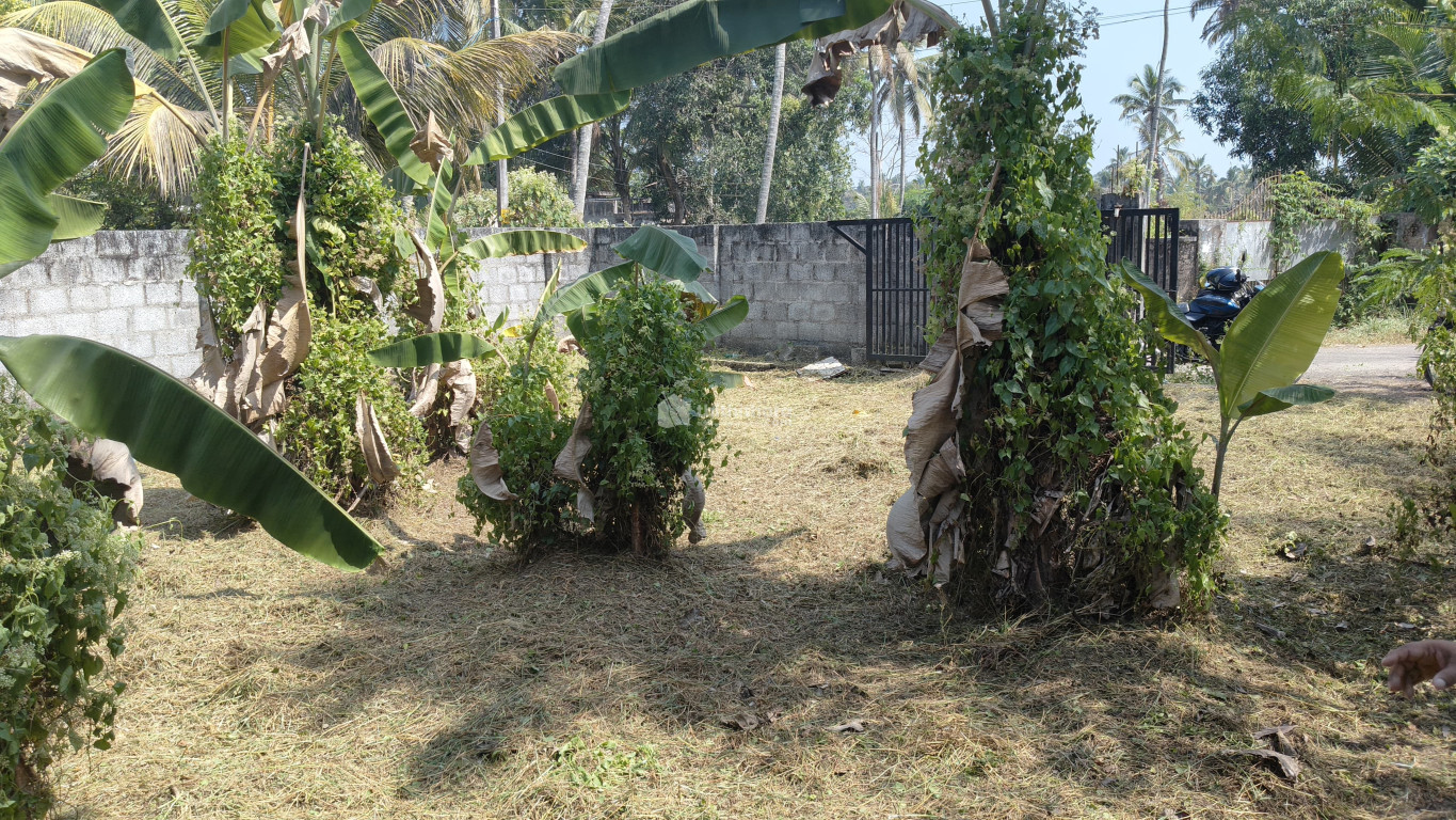 Residential Land available for Sale in Vytila Ernakulam