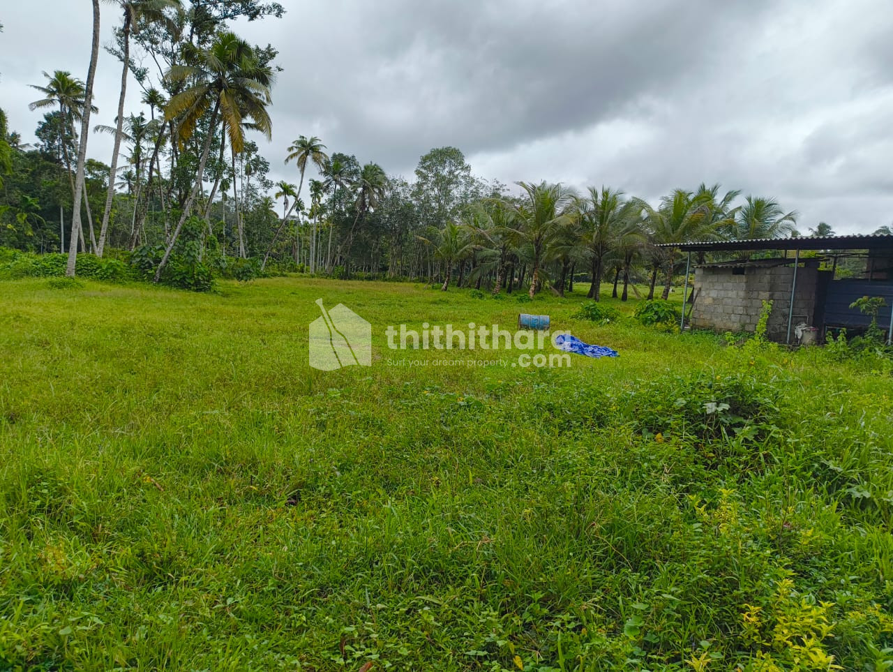 Residential Land Available for Sale in Kayamkulam Alappuzha