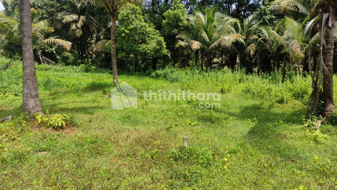 Residential Land available for Sale in Chittur Palakkad