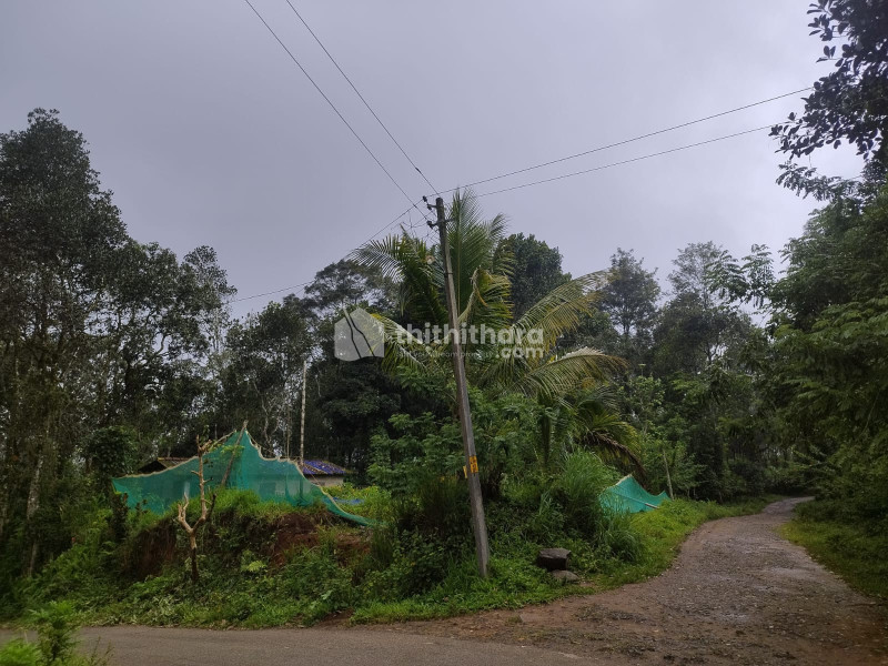 Residential Land available for Sale in Udumbanchola Idukki