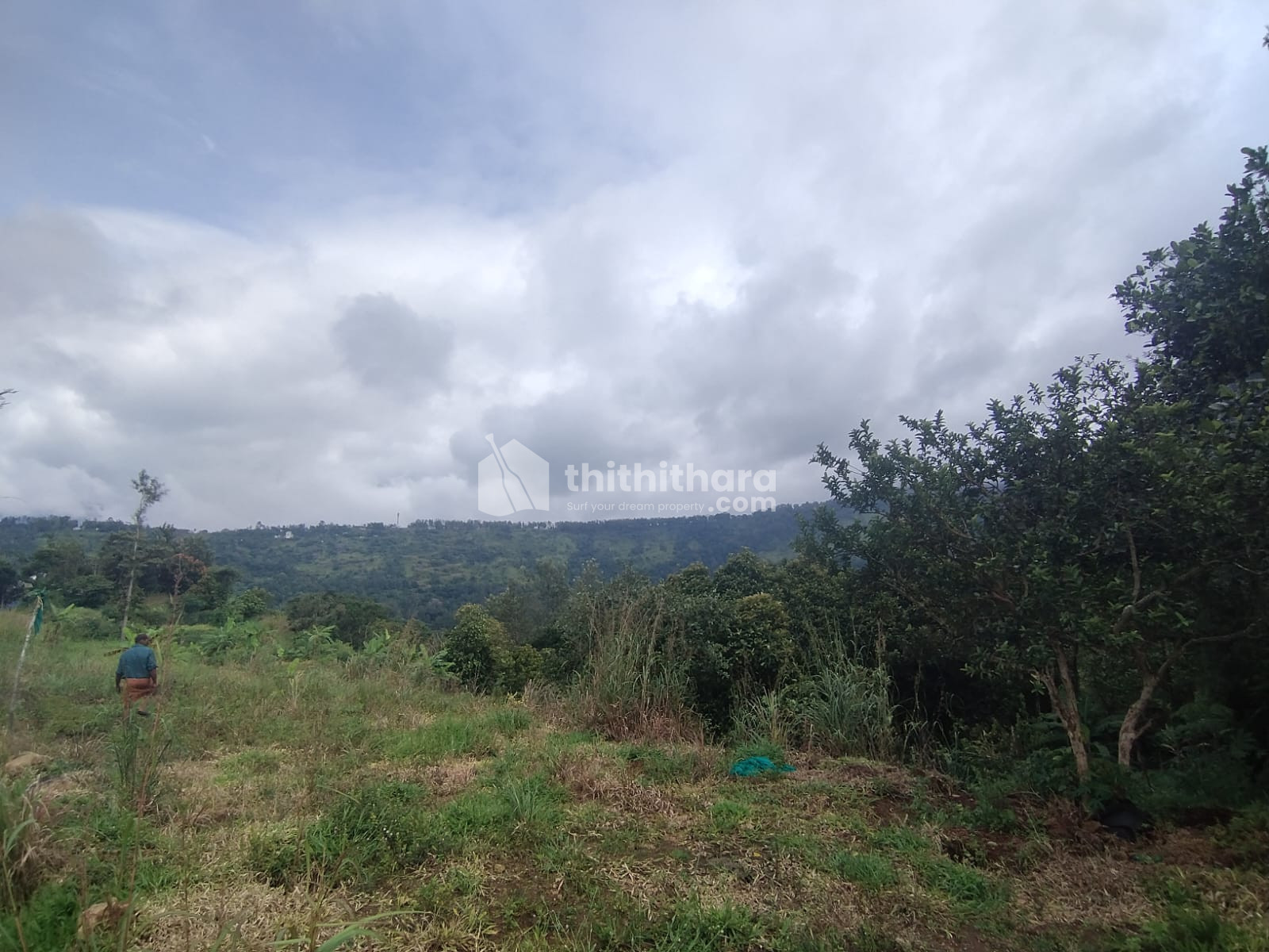 Residential Land available for Sale in Udumbanchola Idukki