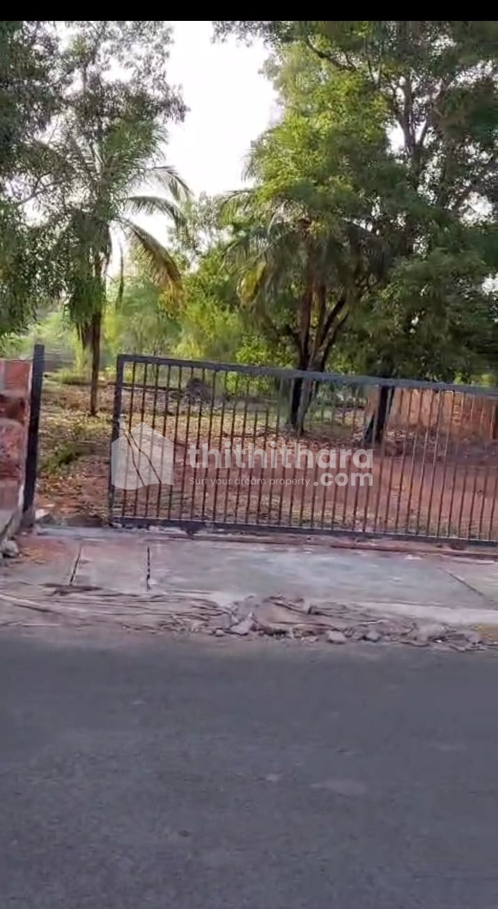 Commercial Plots available for Lease in Payyanur Kannur