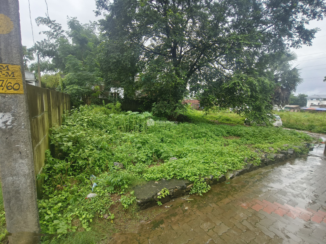 Residential Land Available for Sale in Thirunellayi Palakkad