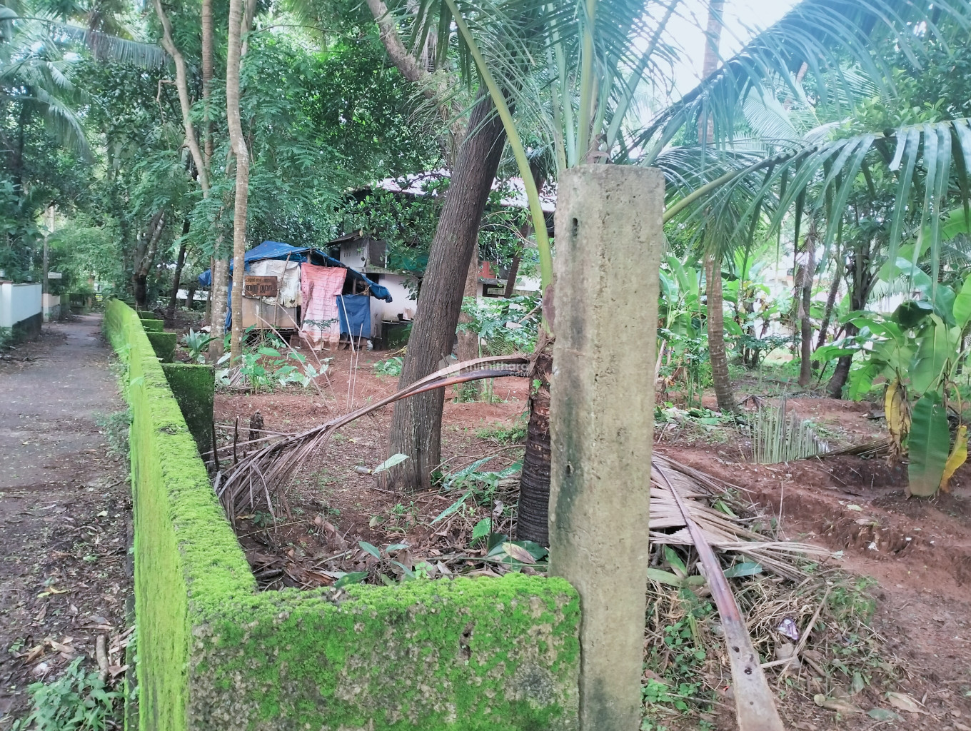 Residential Land for sale at  Payyoli Kozhikode 