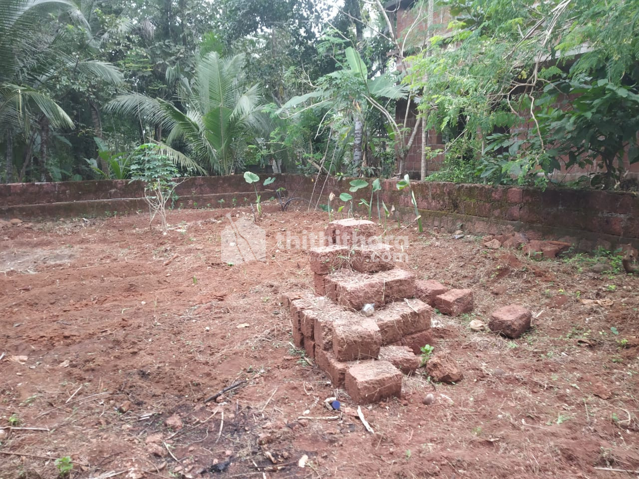 Residential Land for Sale in Valanchery (7.5 Cents)