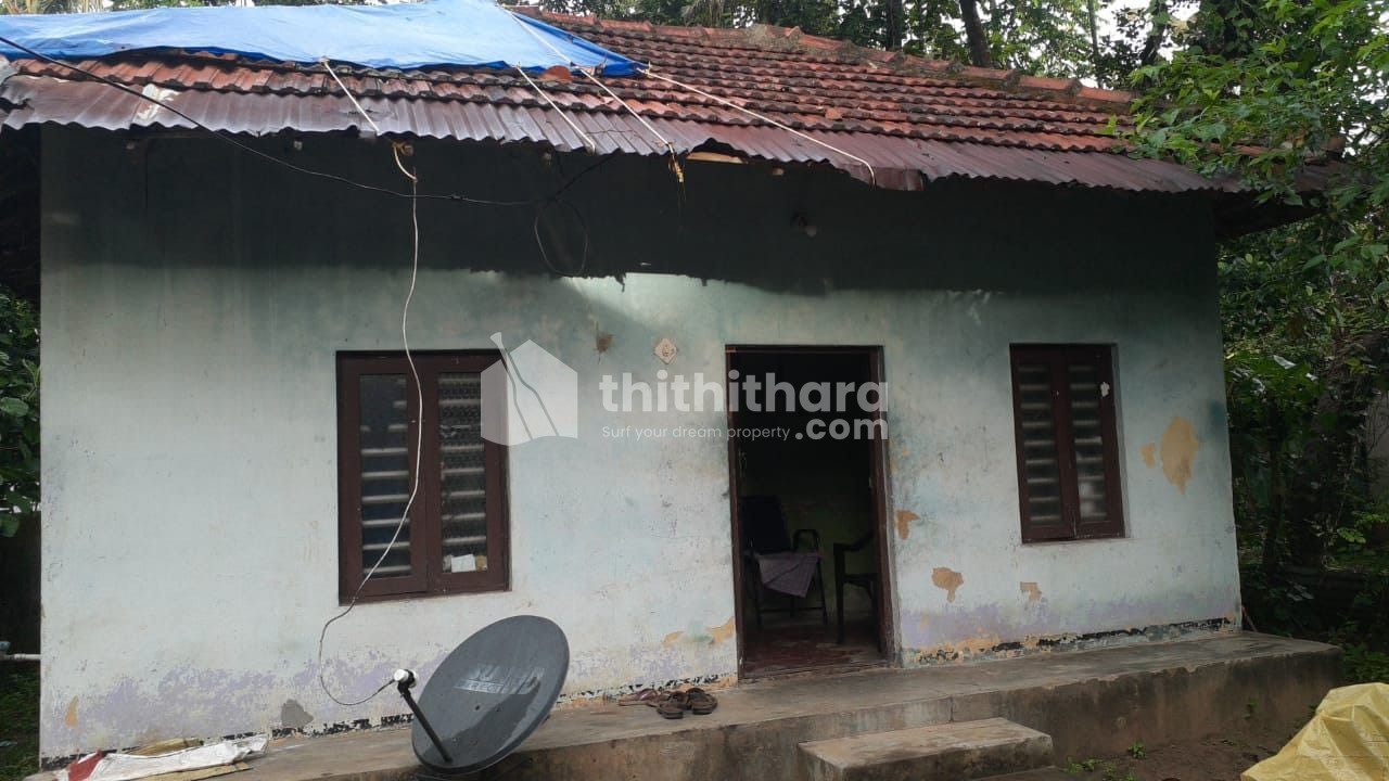 Commercial Plots available for Sale in karikode peroor Kollam
