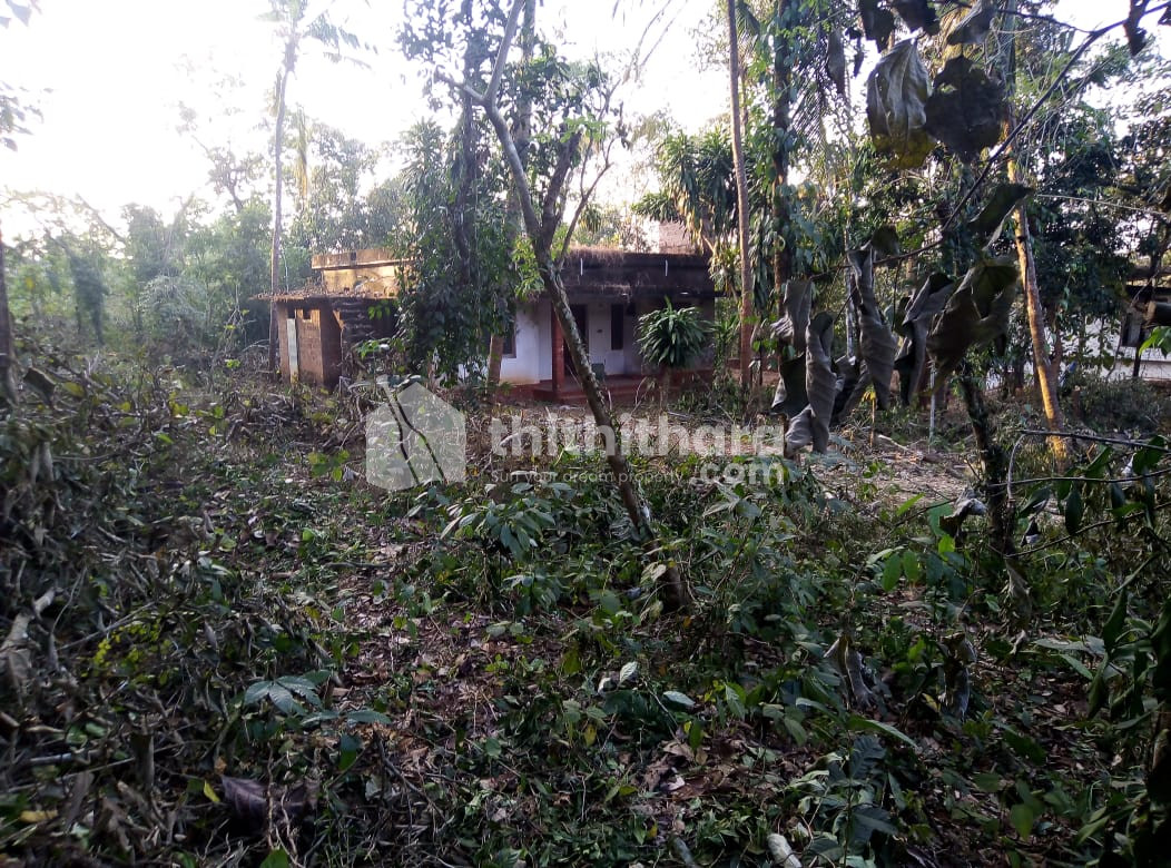 Selling land at Pariyaram