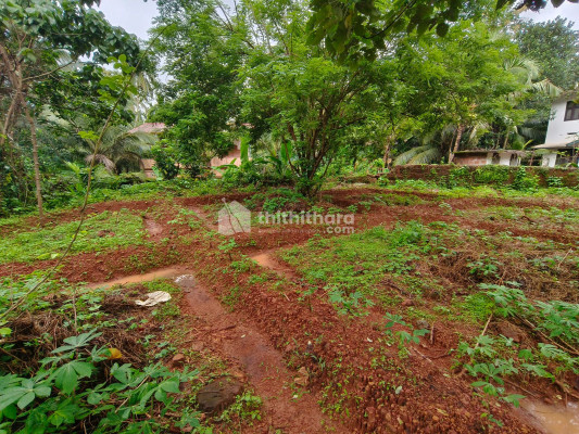 Residential Land For Sale At Ayikkarapadi Malappuram
