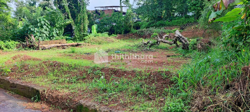 Residential Land available for Sale in Muppaikad Kottayam