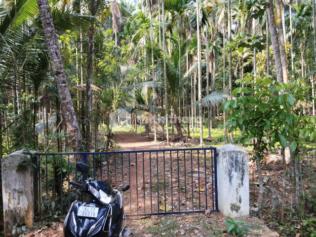 Residential Land available for Sale in Perambra Kozhikode