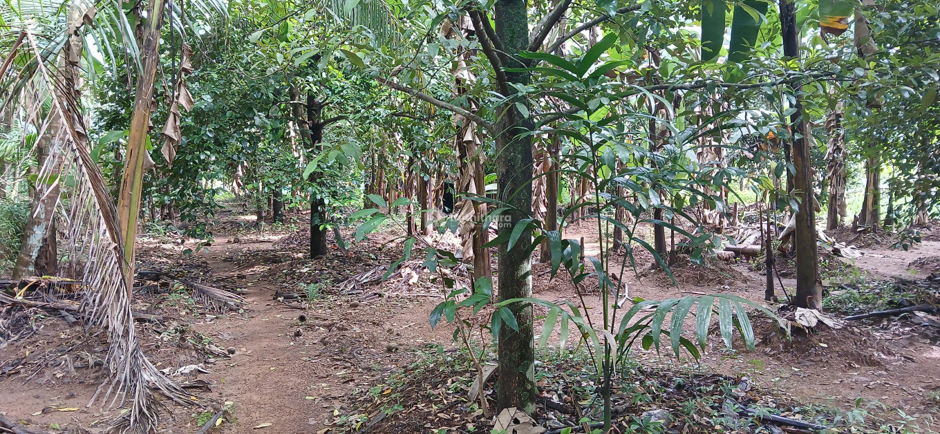 Residential Land available for Sale in Angamaly Ernakulam