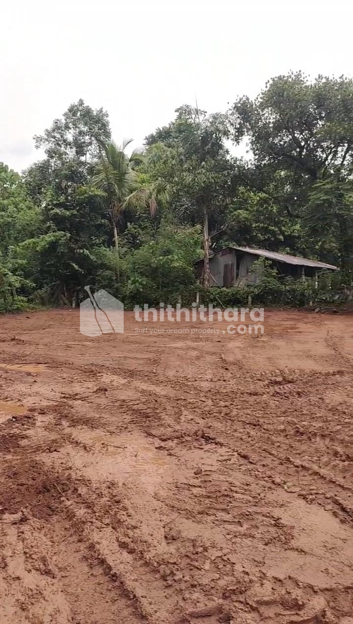 Commercial Plots available for Sale in Mannarkad Palakkad