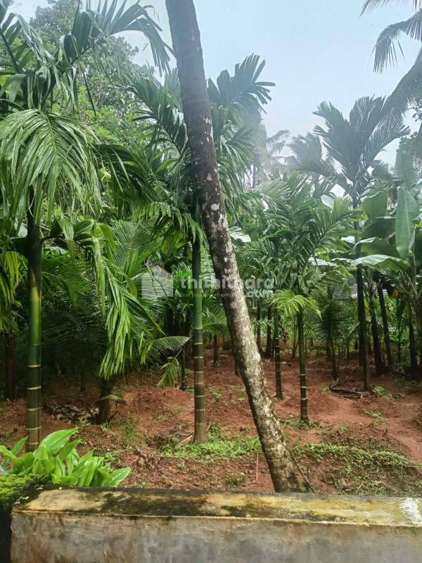 Residential Land available for Sale in Ottappalam Palakkad