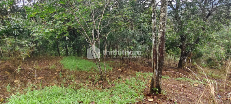 Residential Land available for Sale in Udumbanchola Idukki