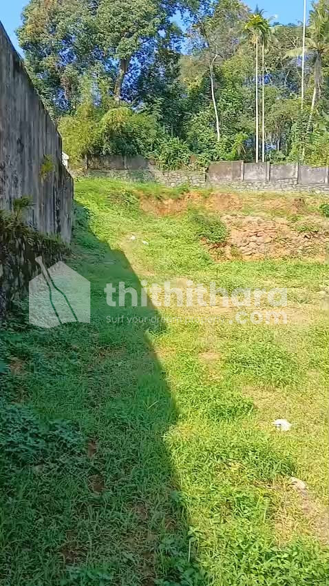 Commercial Plots available for Sale in Kozhenchery Pathanamthitta