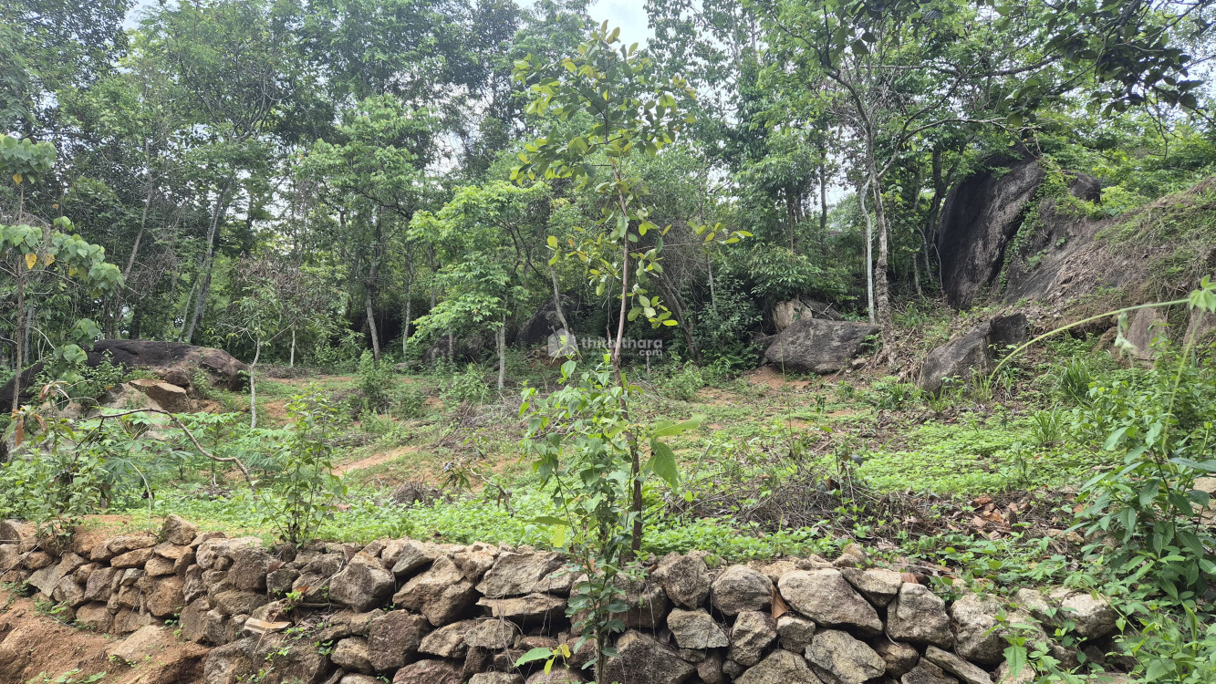 Residential Land available for Sale in Kottarakkara Kollam