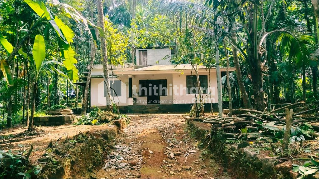 18.25 cent plot with house for sale at Perambra 