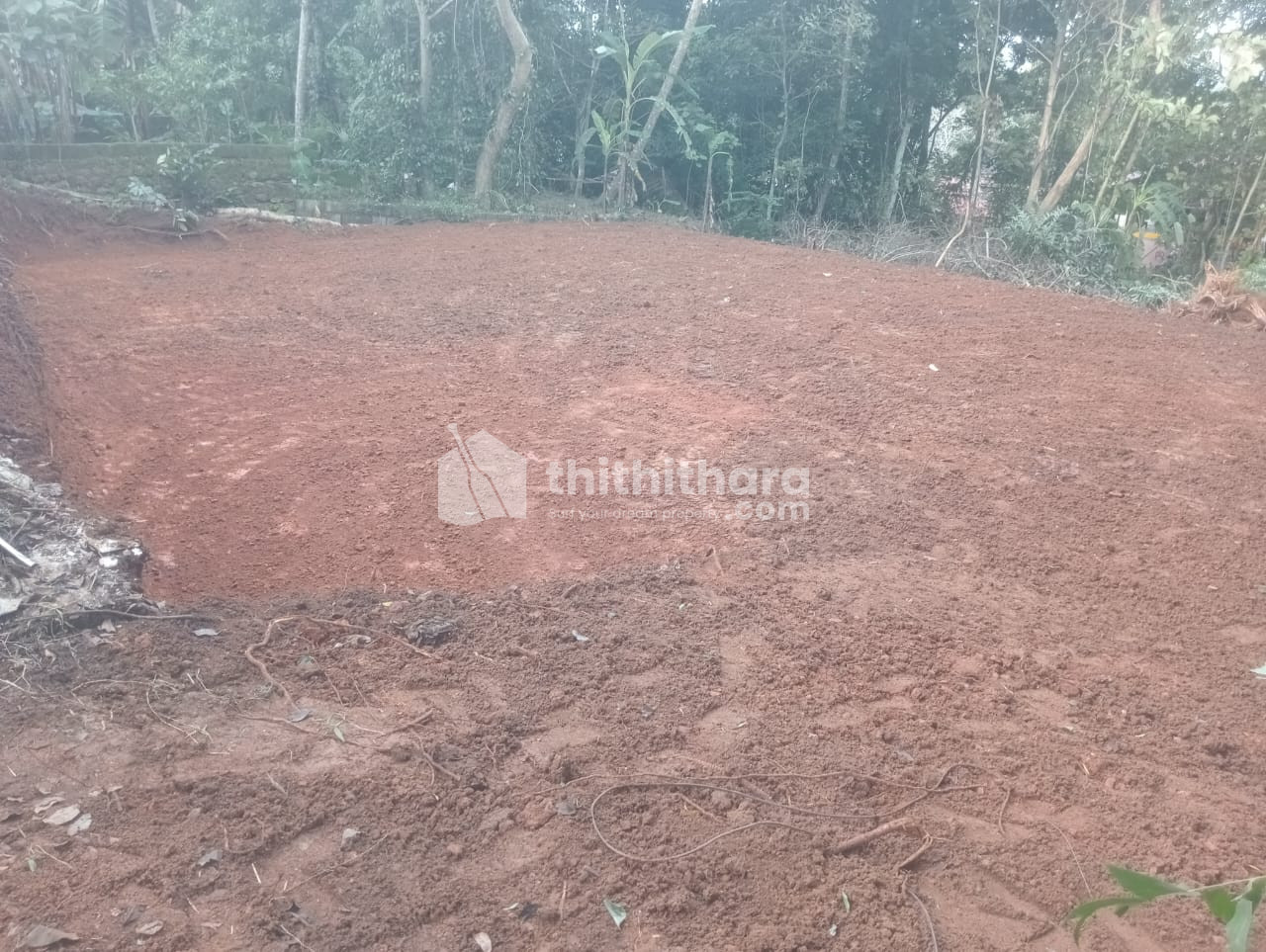 Residential Land available for Sale in Channanikkad Kottayam