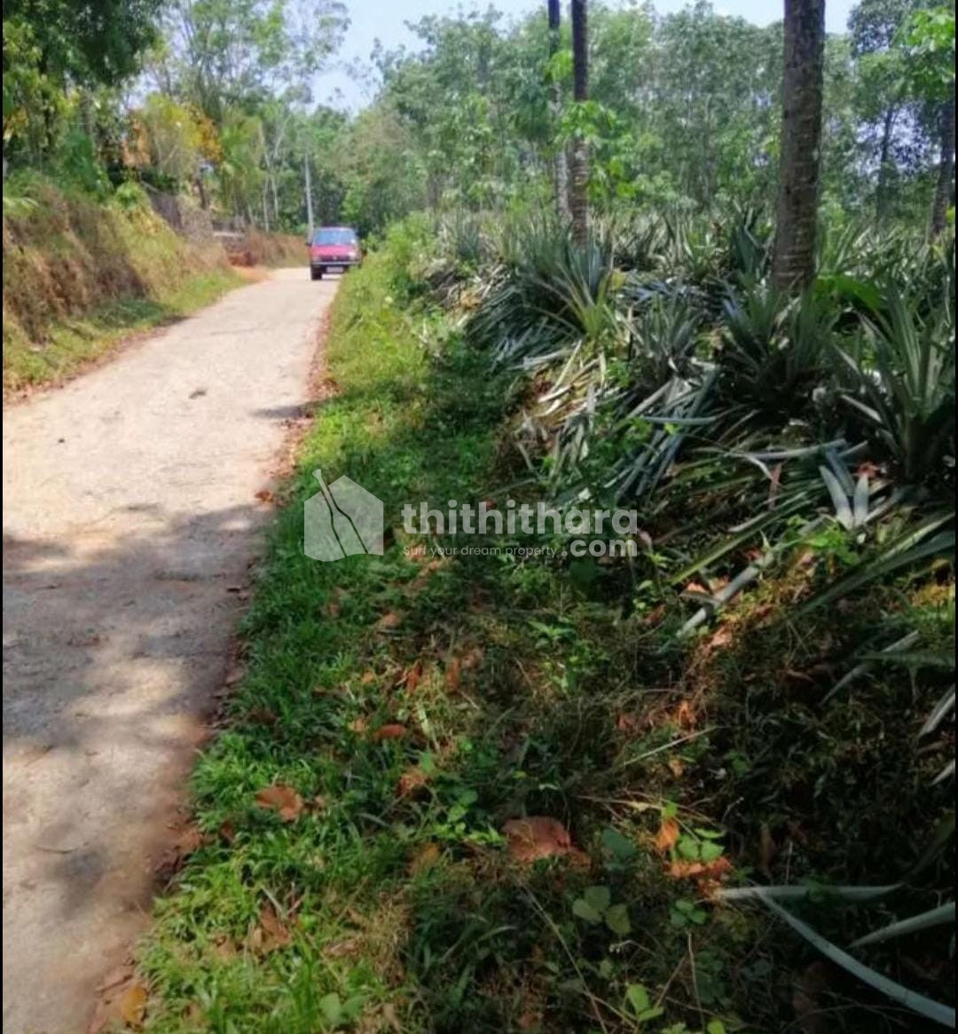 Residential Land available for Sale in Changanassery Kottayam