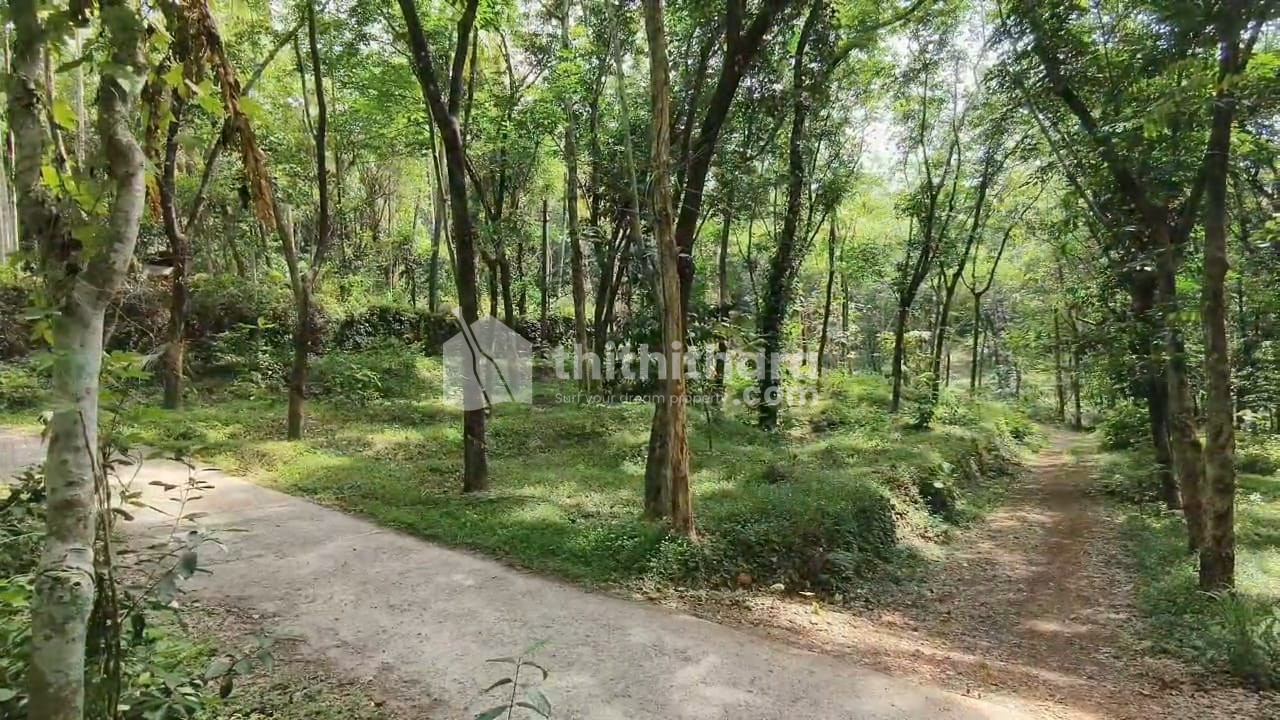 Commercial Plots for sale in Wadakkanchery Thrissur 