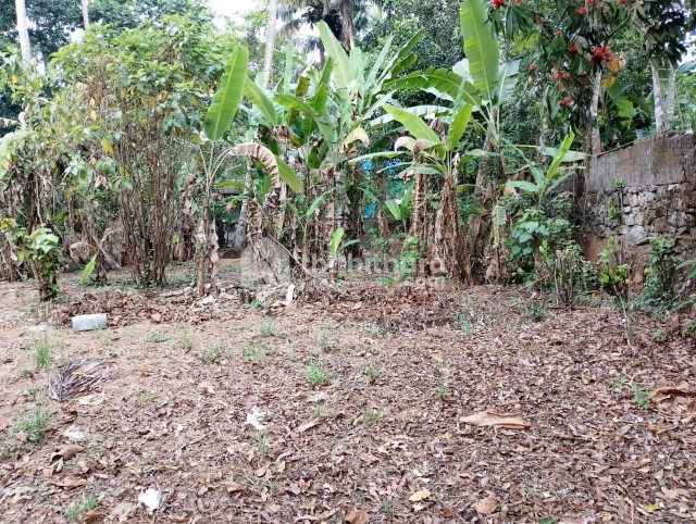 വറ്റാത്ത കിണറുള്ള 20.5 സെന്റ് ഭൂമി - മണ്ണും പേട്ട-കരുവാപ്പടിയിൽ 