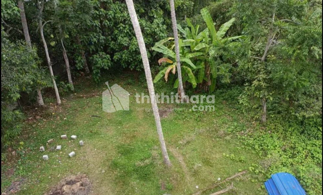 Residential Land available for Sale in Thripunithura Ernakulam