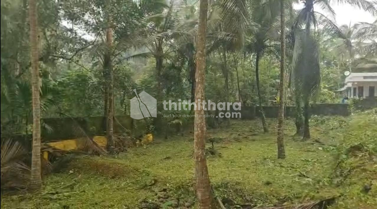 Residential Land available for Sale in Balusseri Kozhikode