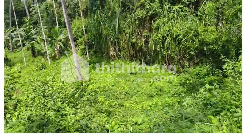Residential Land available for Sale in Mannarkad Palakkad