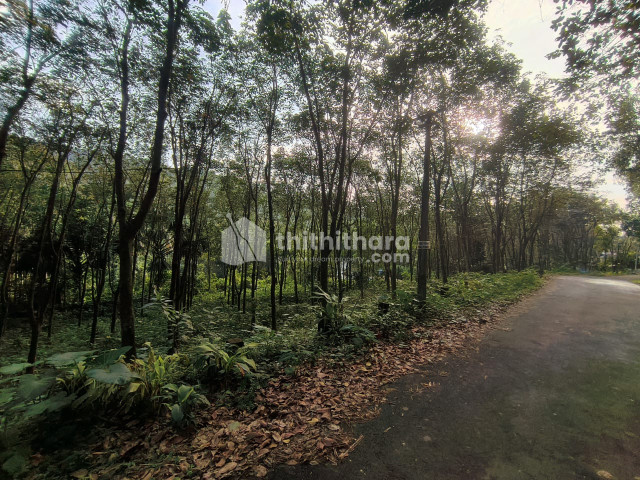 Commercial Plots available for Sale in Poonjar Kottayam