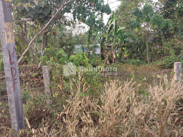 Residential Land available for Sale in Wandoor Malappuram
