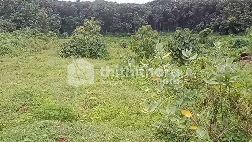 Residential Land available for Sale in Kongad Palakkad