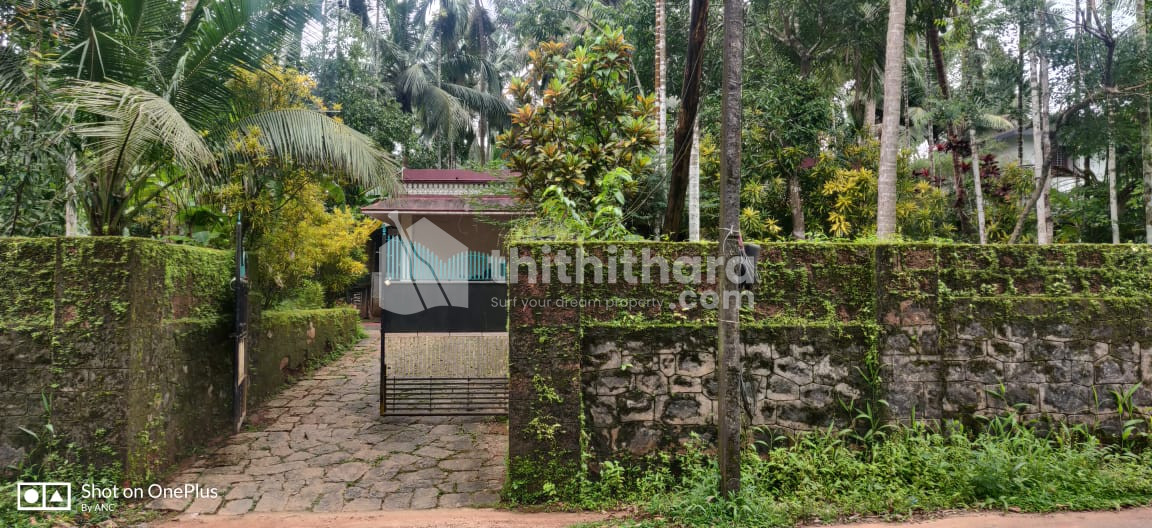 Residential Land available for Sale in Balussery Kozhikode