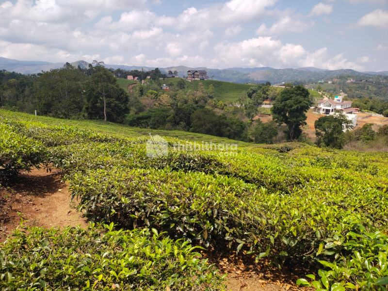 Commercial Plots available for Sale in Vagamon Idukki
