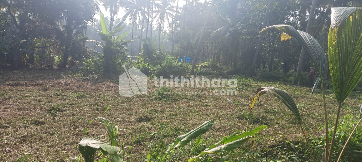 Commercial Plots available for Sale in Thalassery Kannur