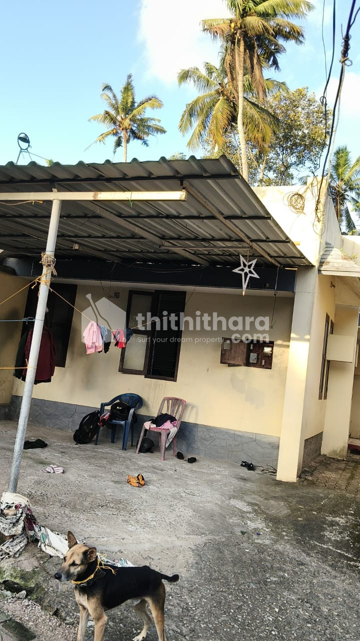 4BHK Independent House available for sale in Neyyattinkara Thiruvananthapuram