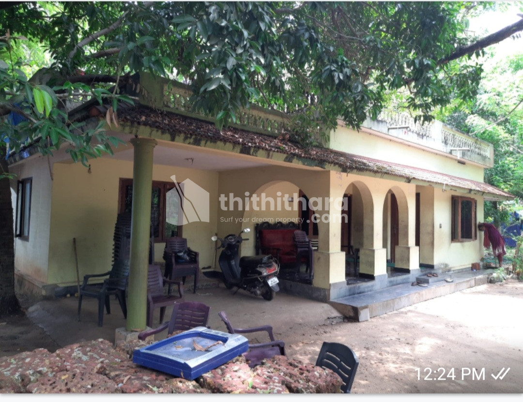ഹൈവേ ഫ്രോൻറ്റേജോടു കൂടിയ  79,cent റെസിഡന്റൽ പ്രോപ്പർട്ടി വില്പനക്ക്  
