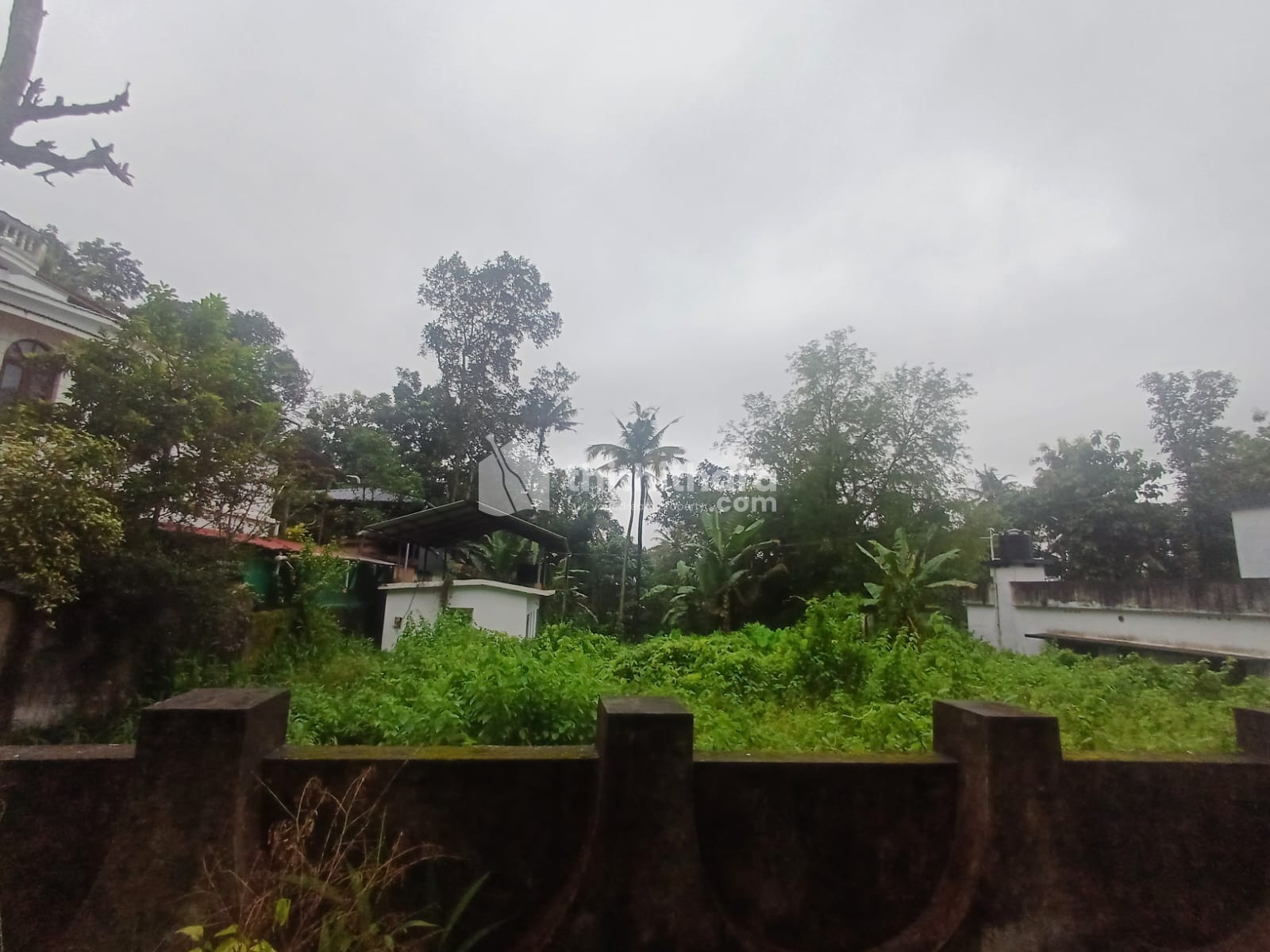 Residential Land available for Sale in Adoor Pathanamthitta