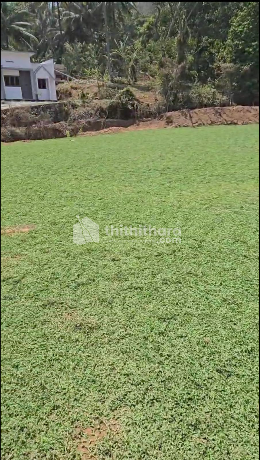 Commercial land for sale in kombazha Thrissur