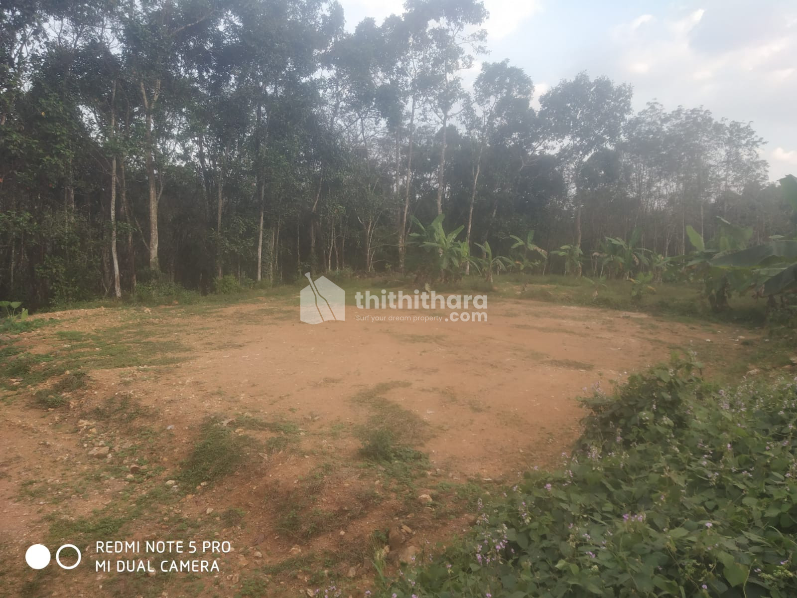 Residential Land available for Sale in Kanjirappally Kottayam