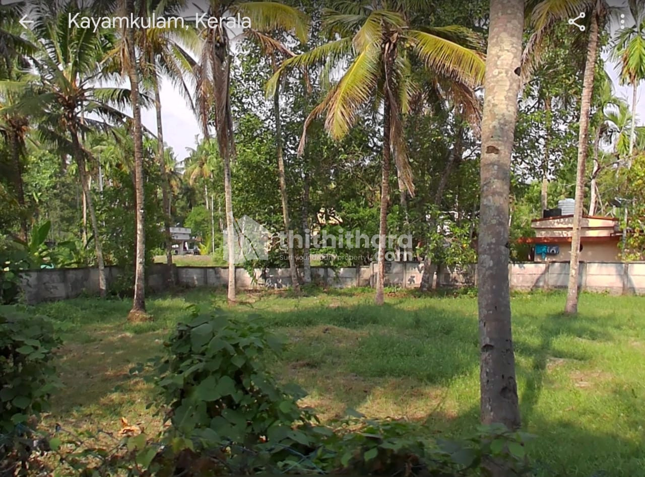 Residential Land available for Sale in Kayamkulam Alappuzha