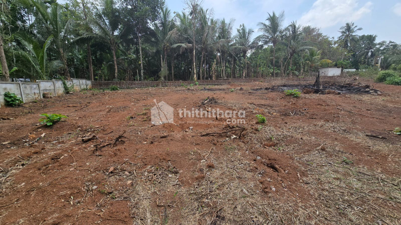 Residential Land for sale at Wadakkanchery Thrissur 